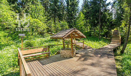 Дом в аренду у воды в лесу