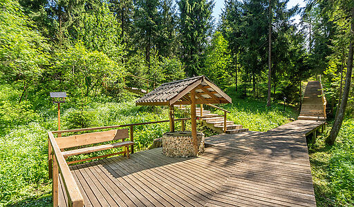Дом в аренду у воды в лесу