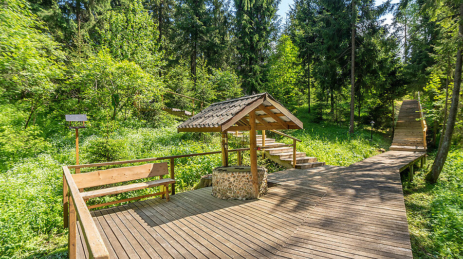 Дом в аренду у воды в лесу