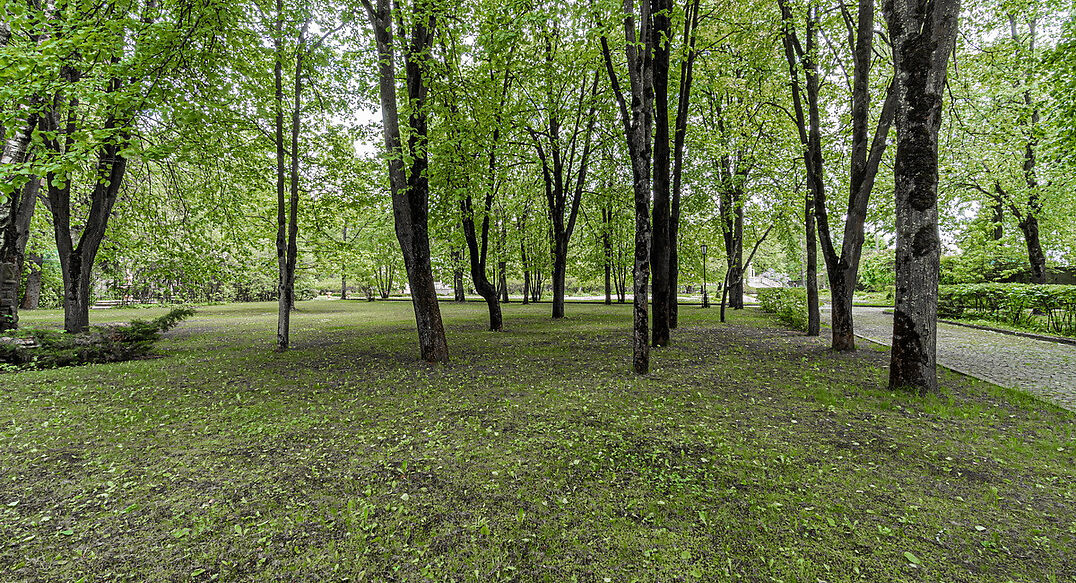 Лосино-Петровский