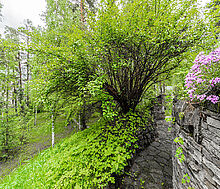 Усадьба в Лосино-Петровское