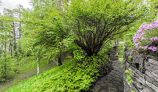 Усадьба в Лосино-Петровское