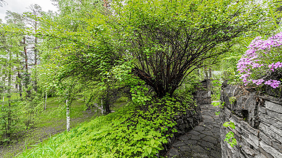 Усадьба в Лосино-Петровское