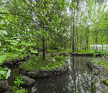 Усадьба в Лосино-Петровское