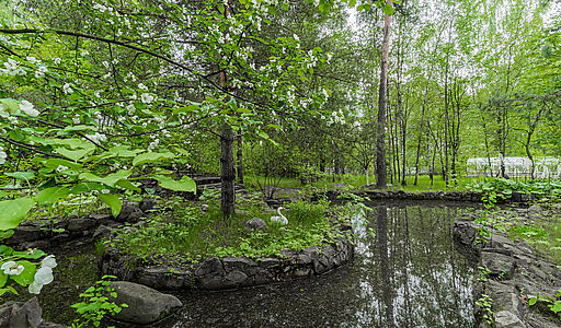 Усадьба в Лосино-Петровское