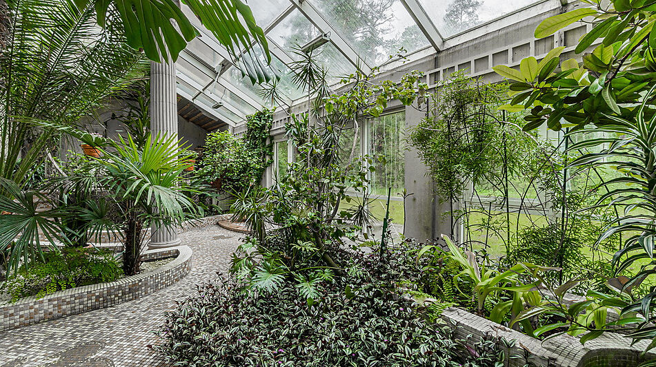 Усадьба в Лосино-Петровское