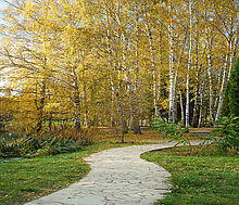 Княжье Озеро