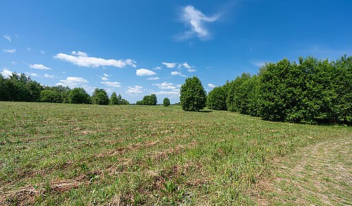 Акватория Истры