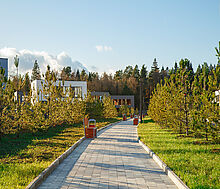 Новогорск Клаб