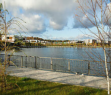 Новогорск Клаб