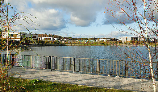 Новогорск Клаб