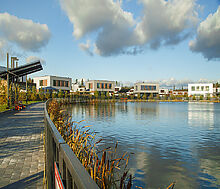 Новогорск Клаб