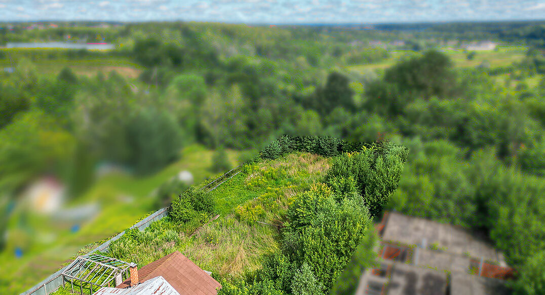 Дмитровское