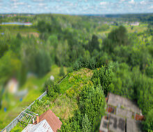 Дмитровское