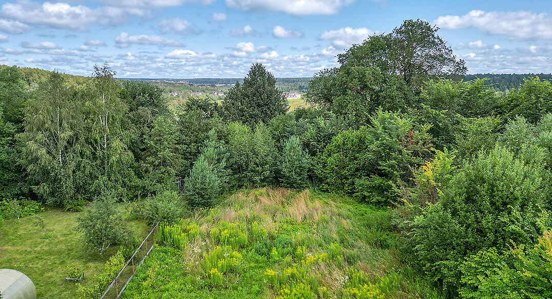 Дмитровское