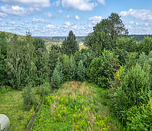 Дмитровское