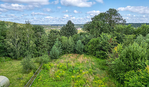 Дмитровское