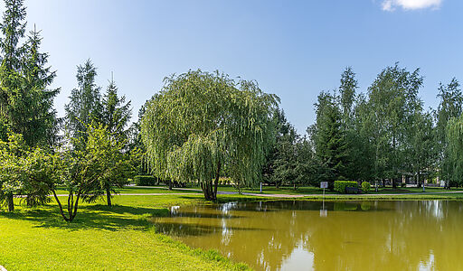 Новорижский