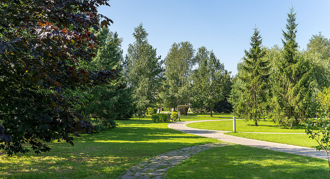 Новорижский