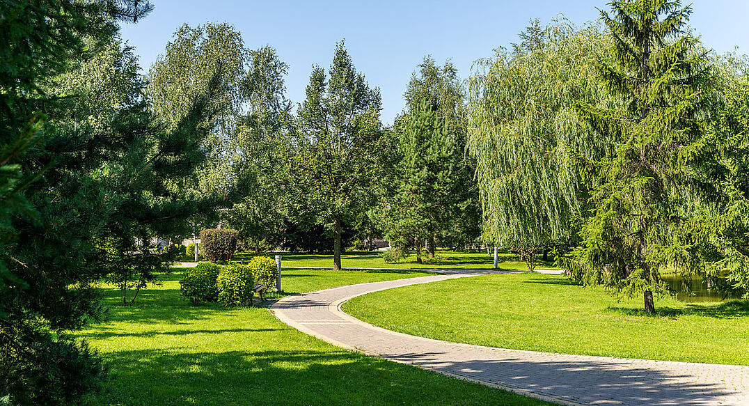 Новорижский