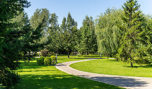 Новорижский