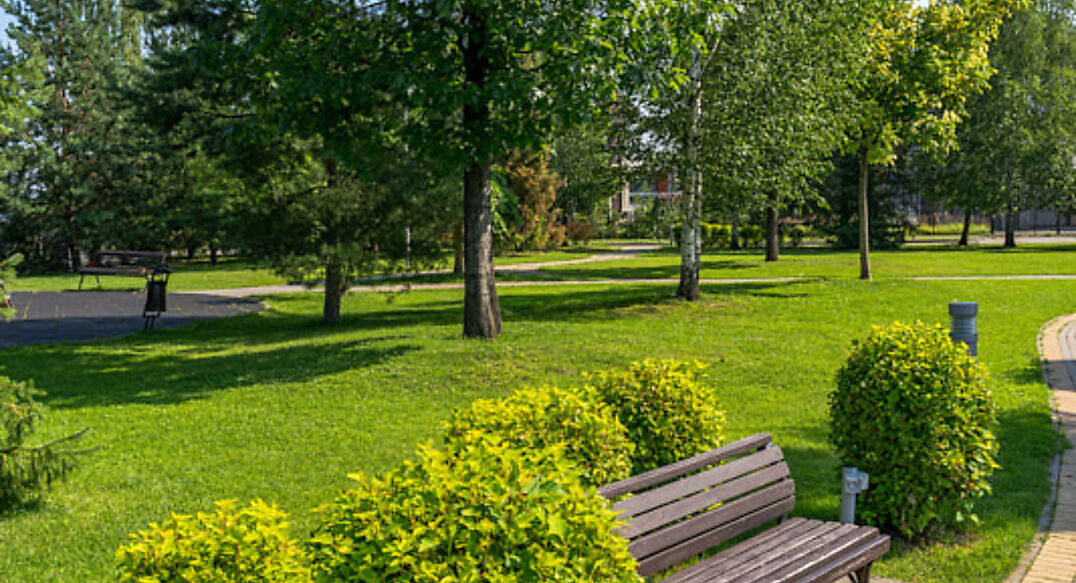 Новорижский