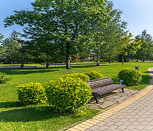 Новорижский