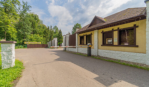 Лесная сказка