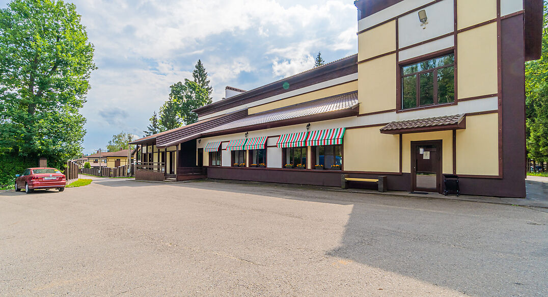 Лесная сказка