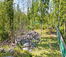 Лесной участок в КП Зеленая Роща1