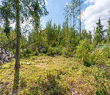 Лесной участок в КП Зеленая Роща1