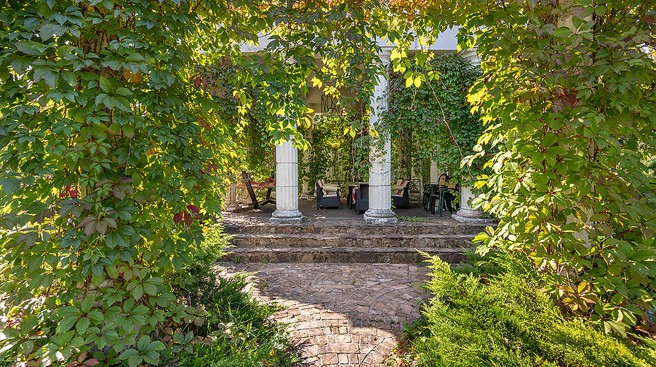 Усадьба в д. Дмитровка