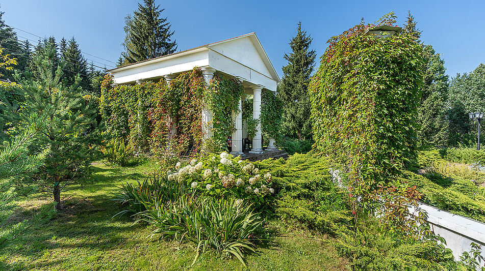 Усадьба в д. Дмитровка