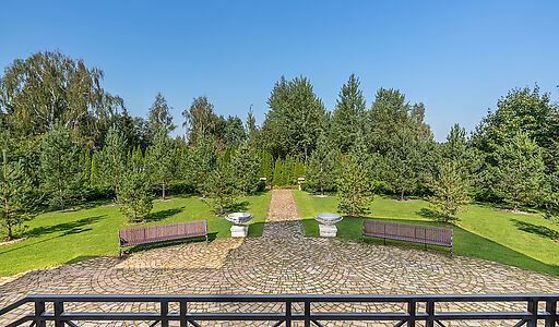 Усадьба в д. Дмитровка