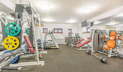 Усадьба в д. Дмитровка