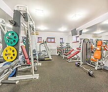 Усадьба в д. Дмитровка