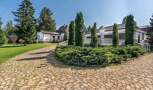 Усадьба в д. Дмитровка