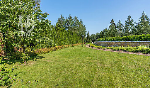 Усадьба в д. Дмитровка