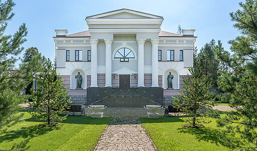 Усадьба в д. Дмитровка