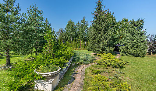 Усадьба в д. Дмитровка