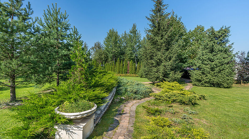 Усадьба в д. Дмитровка