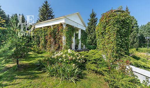 Усадьба в д. Дмитровка