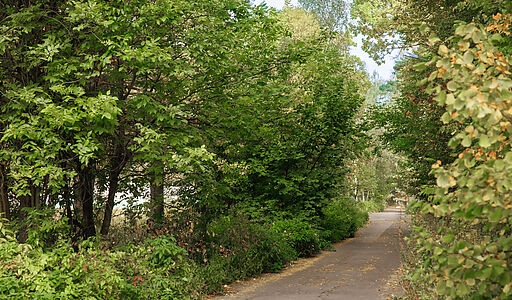 Мичуринец-2