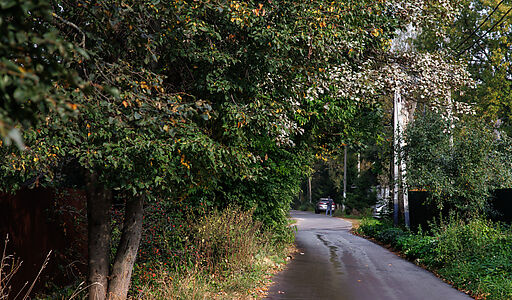 Мичуринец-2