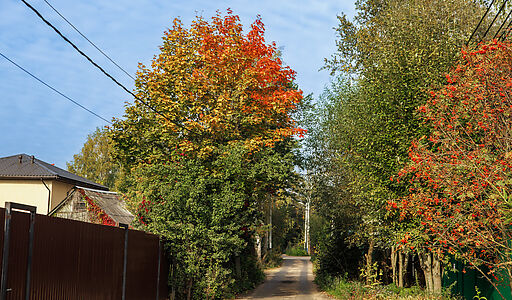 Мичуринец-2