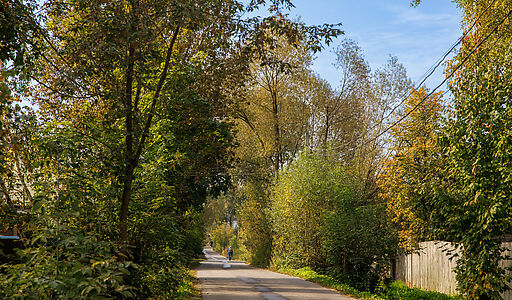 Мичуринец-2