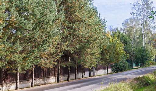 Мичуринец-2