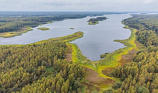 Новое Домкино