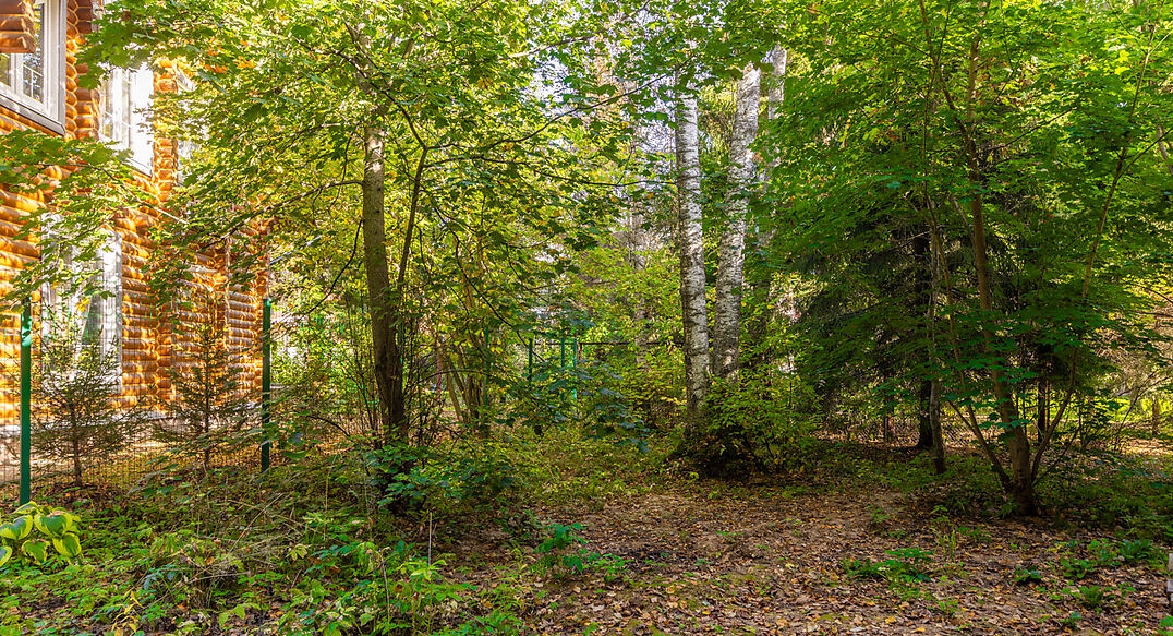 СНТ Фортуна