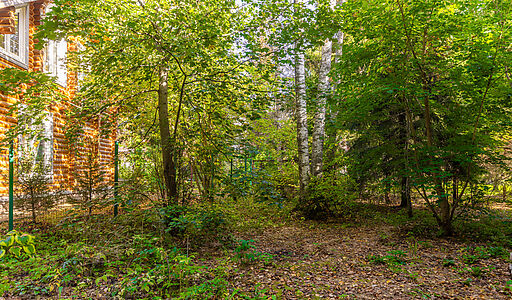 СНТ Фортуна